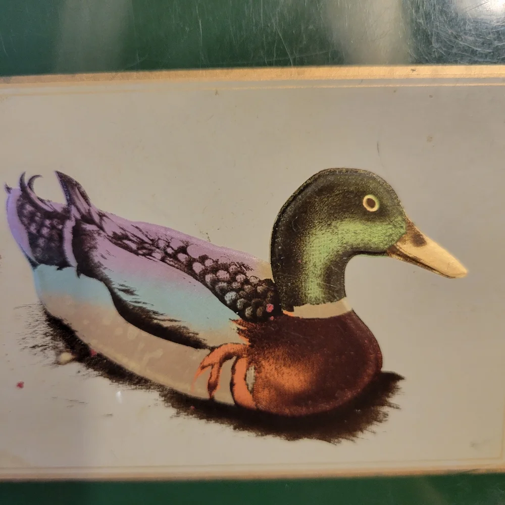 Otagiri Address Book ~ Hardcover Duck Image ~ Ready for Upcycle! FINAL PRICE